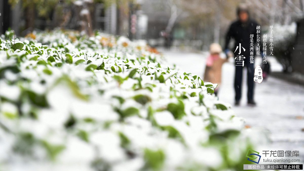 小雪气寒将雪矣