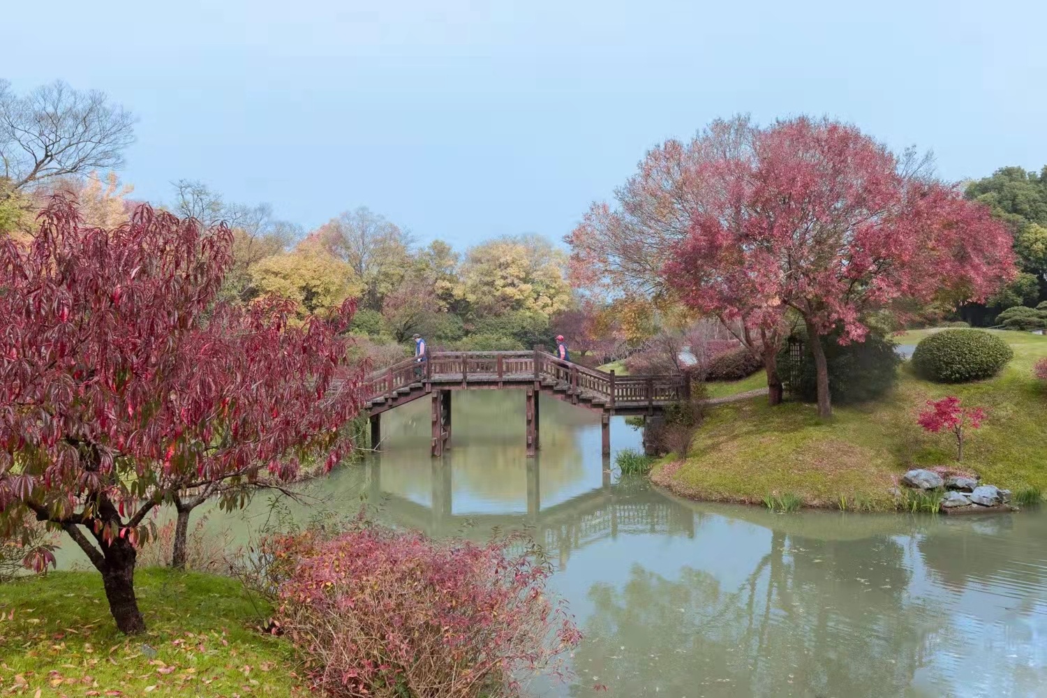 扬州：山明水净夜来霜 数树深红出浅黄