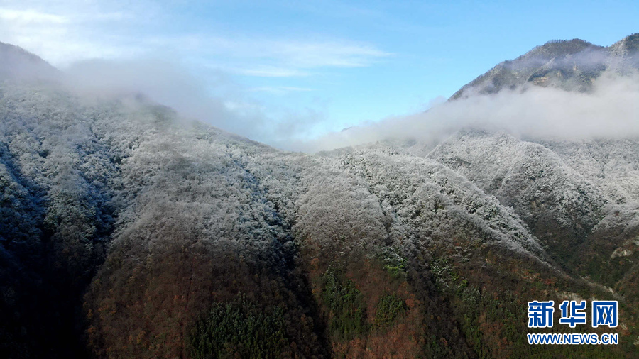 湖北十堰：雪后十八里长峡 半山皑皑半山红