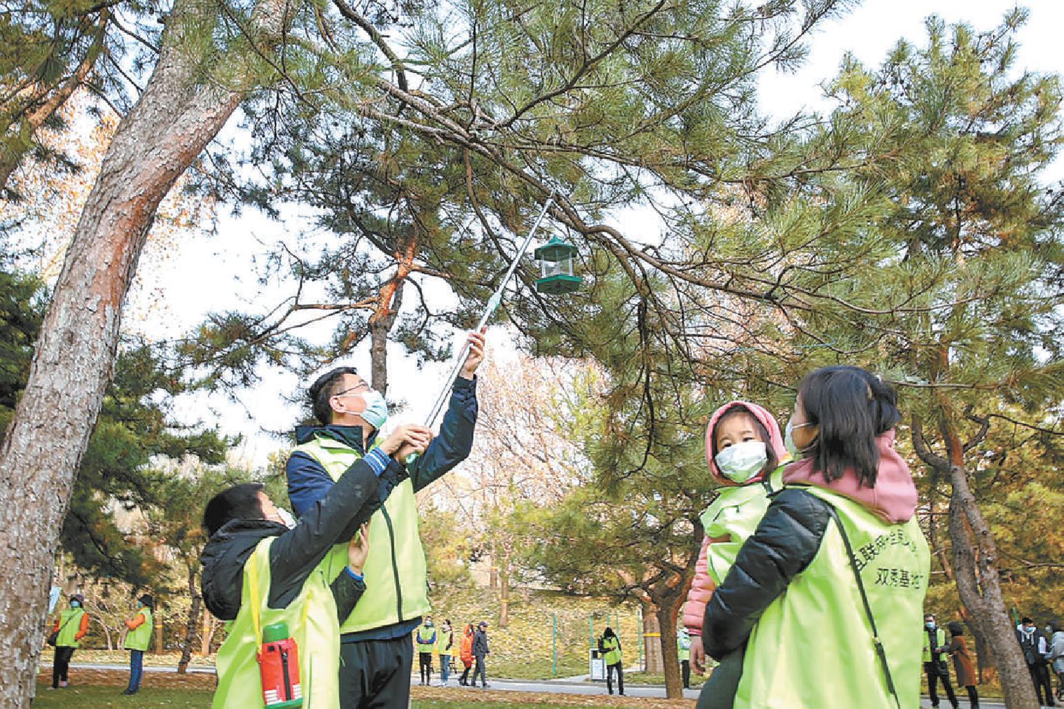 北京市冬季“义务植树”别样开启