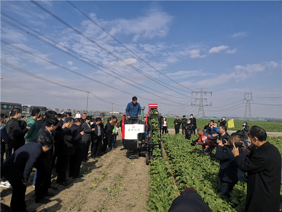 江苏根茎类蔬菜科技产业发展论坛与品种观摩会在泰兴市举行_fororder_9