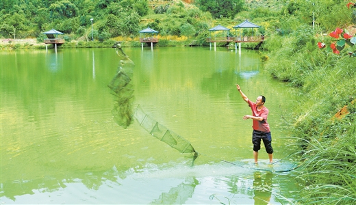 广西岑溪：山青水碧产业旺