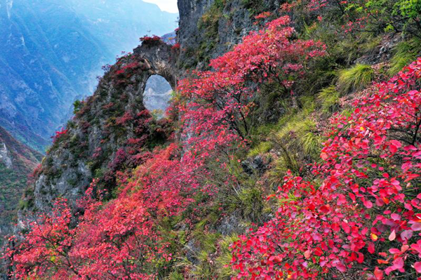 “三峡醉美是巫山”摄影作品公开亮相