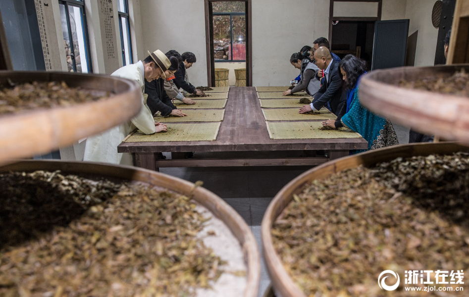 诸暨：中外来宾体验红茶制作