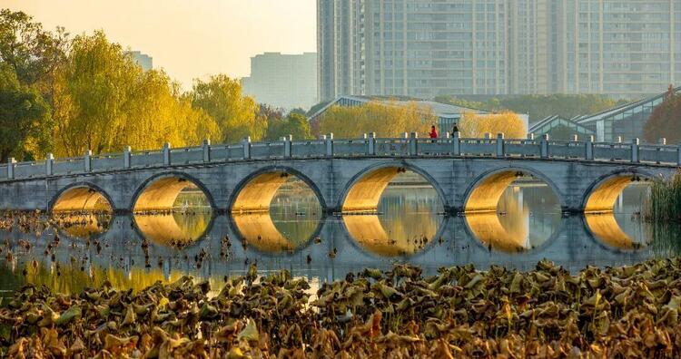 在苏州东太湖 有千百种温暖越冬的方式