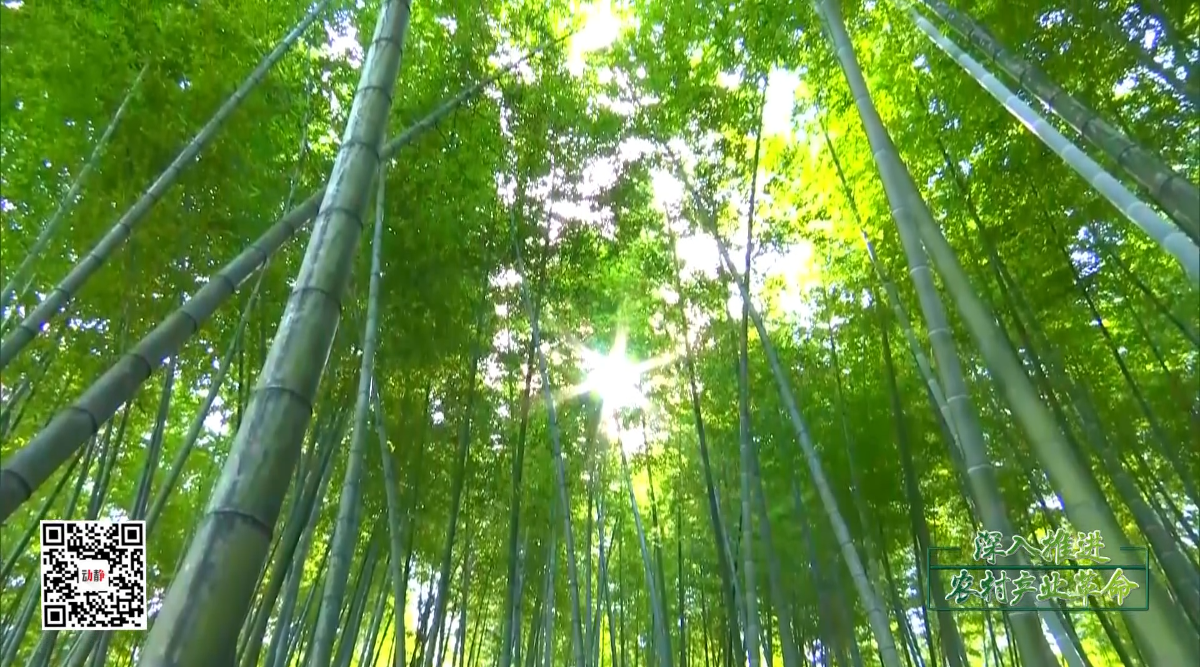 （市州）贵州农村产业革命怎么干，省委书记讲话给答案讲话给答案