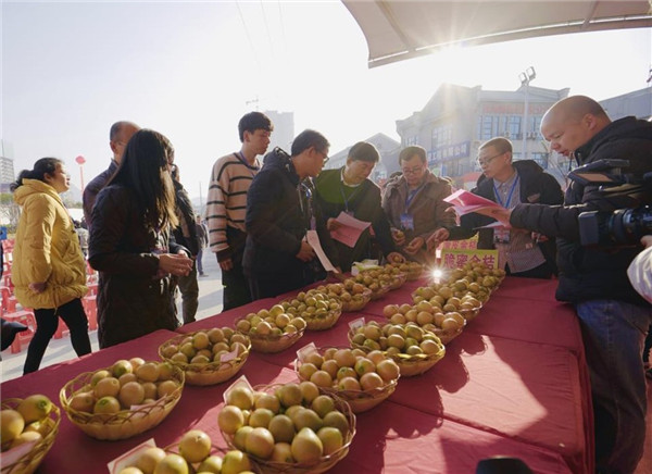 广西融安：23°好风味 畅游桔乡正当时_fororder_图片7