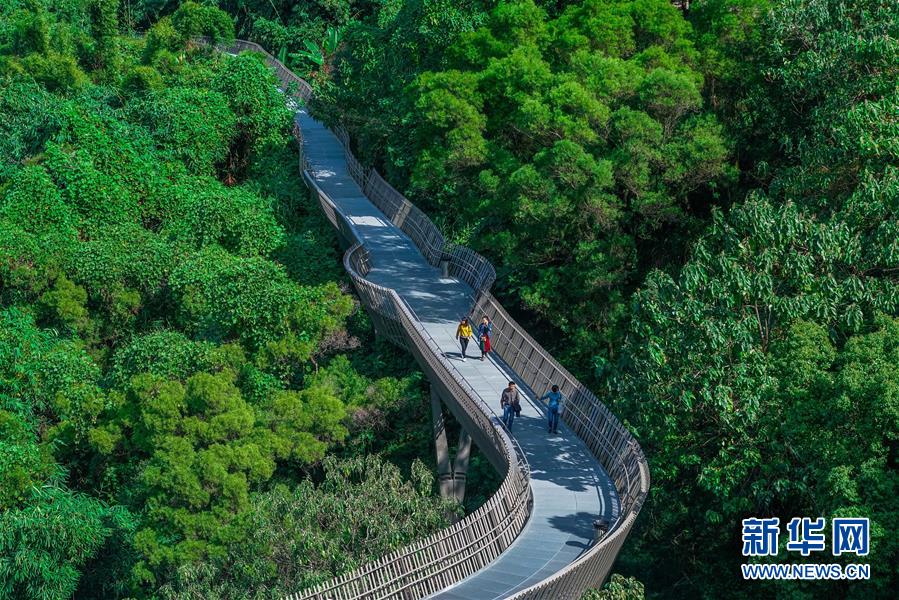 福州：空中绿道 城市幽境