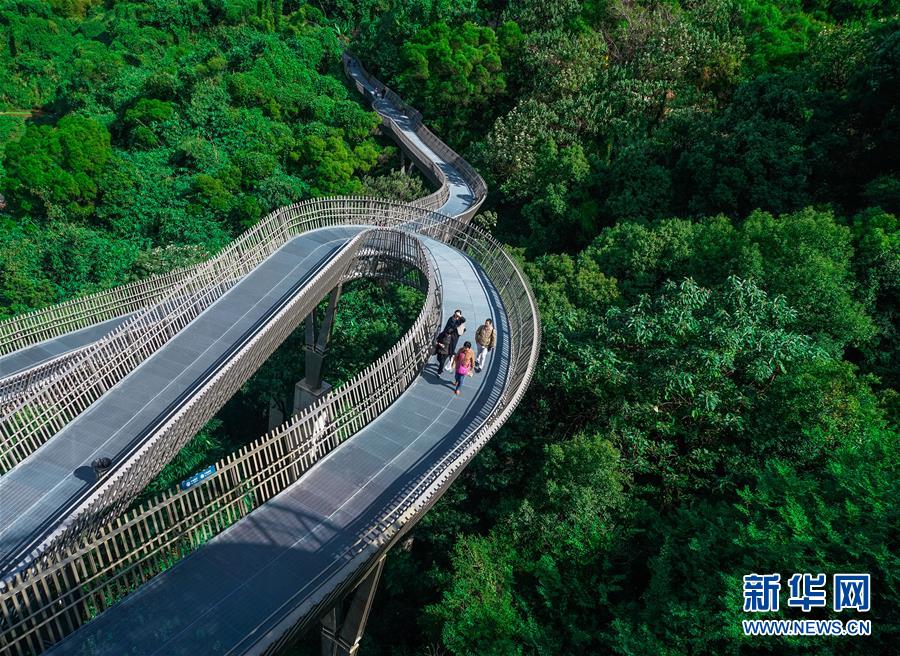 福州：空中绿道 城市幽境