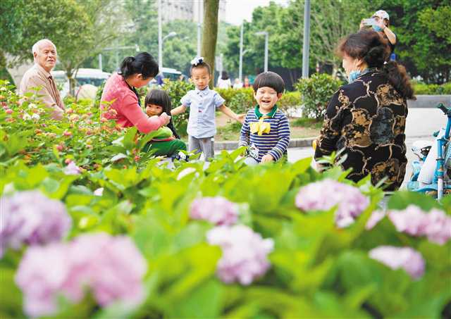 【城市远洋】【焦点图】重庆北碚建成14个微型绿地