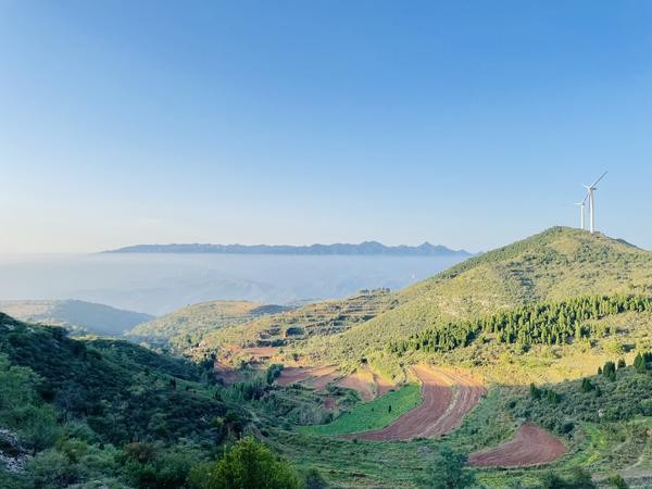 三门峡市湖滨区：治愈山体旧“伤疤” 湖滨大地焕新颜