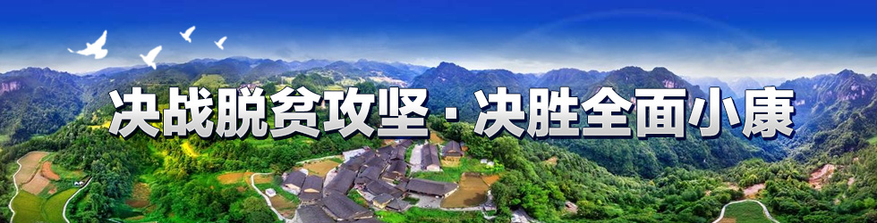 决战脱贫攻坚·决胜全面小康_fororder_决战脱贫攻坚·决胜全面小康 980x250 new3(1)