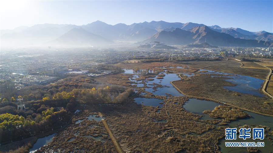 拉鲁湿地：冬日“拉萨之肺”