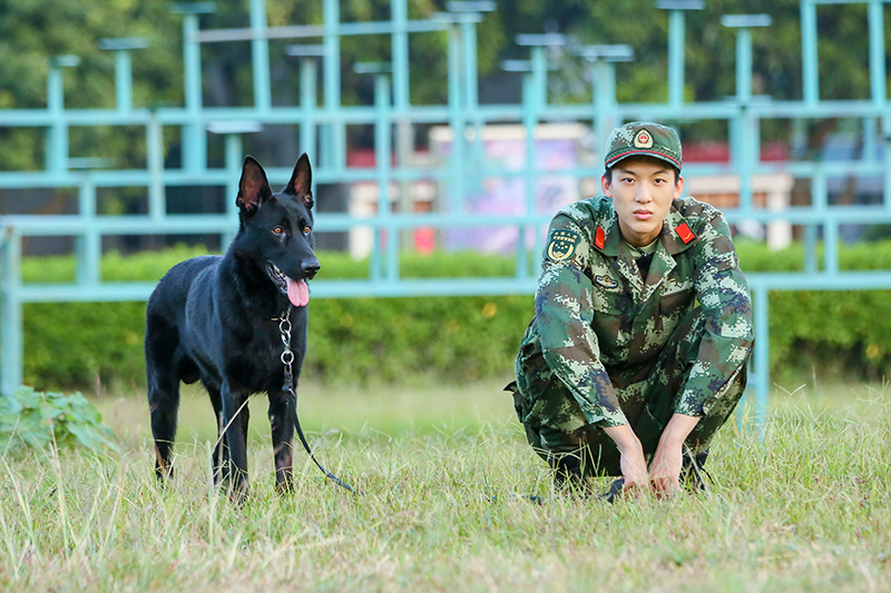 奇兵神犬昆霸图片