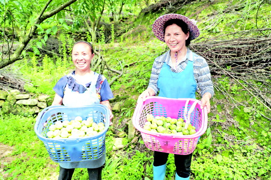 （社会）“夏秋决战”再作为 贵州各地农村产业革命如火如荼