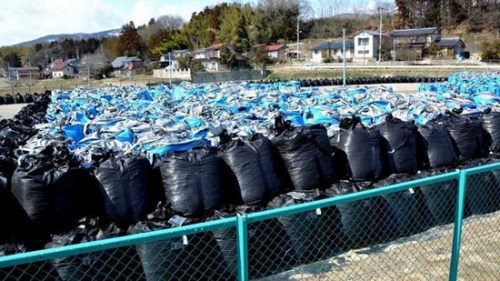 福岛核事故污染垃圾正式开始运入过渡储存设施