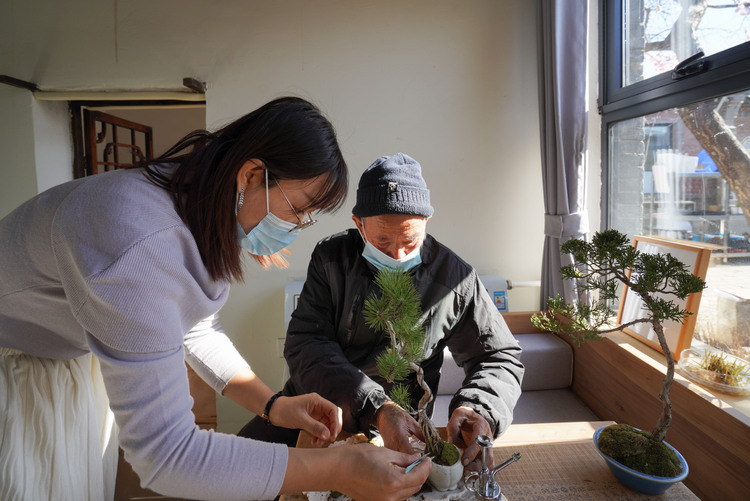 石家庄鹿泉区：“90后”盆景女孩乡村助残