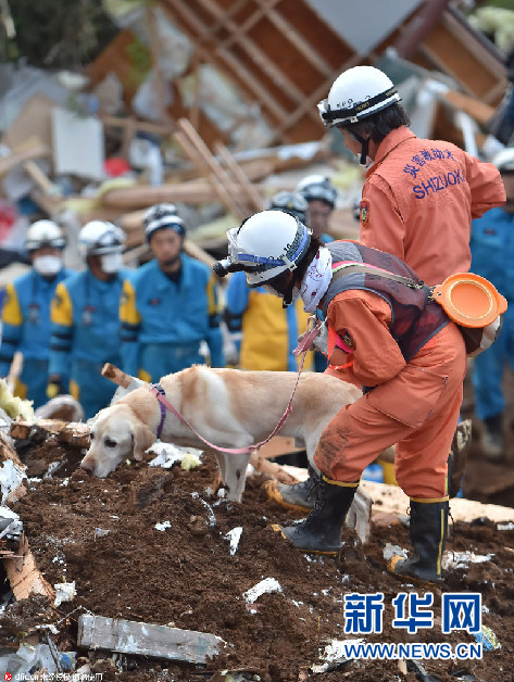 日本九州熊本地震致44人遇难 1100人受重伤