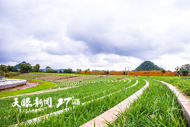 （中首）冬季阳光休闲游 “贵南”旅游带成新选择