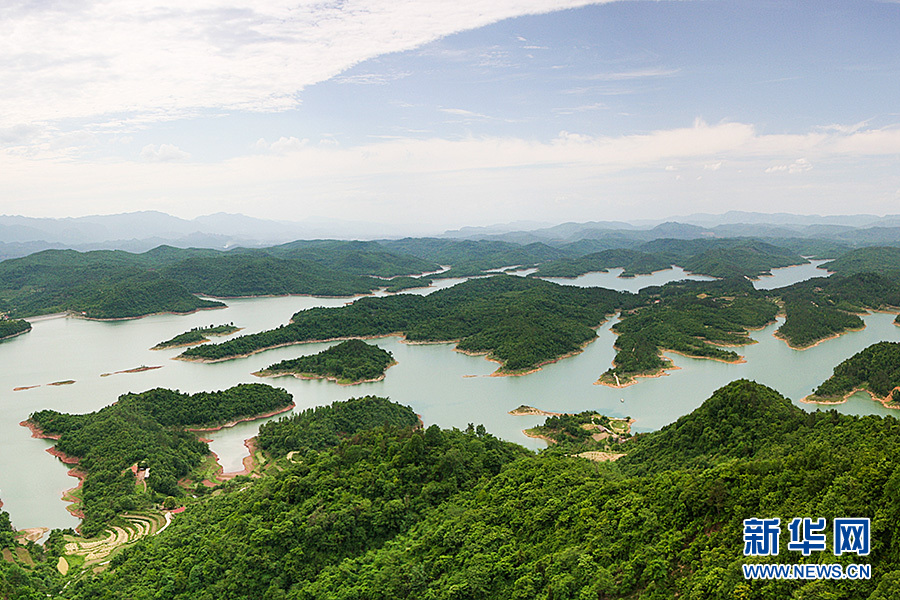 中华秋沙鸭连续11年打卡当阳青龙湖国家湿地公园