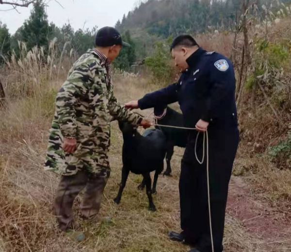 【原创】重庆万州民警帮助群众寻回走失山羊_fororder_图片1(1)