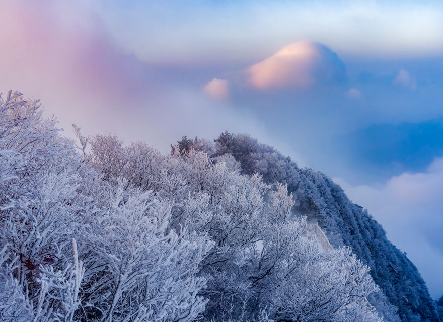 河南老君山：雪光映金顶 千山万壑层云生