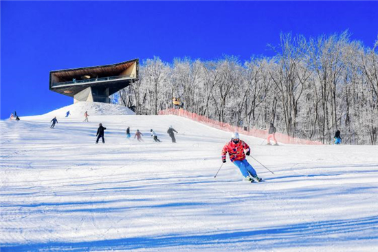 （吉林频道）赏雾凇、滑粉雪 一份来自吉林市的冰雪大礼包_fororder_粉雪6