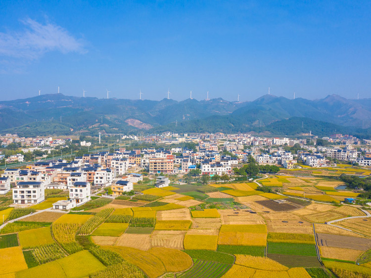 贵港市港北区：文旅入村 村美民富