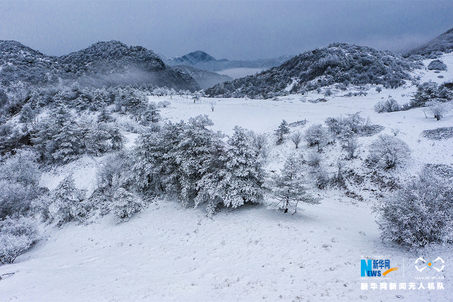 【城市远洋带图】重庆巫溪：冰雪奇缘秘境红池 这里的雪过分美丽