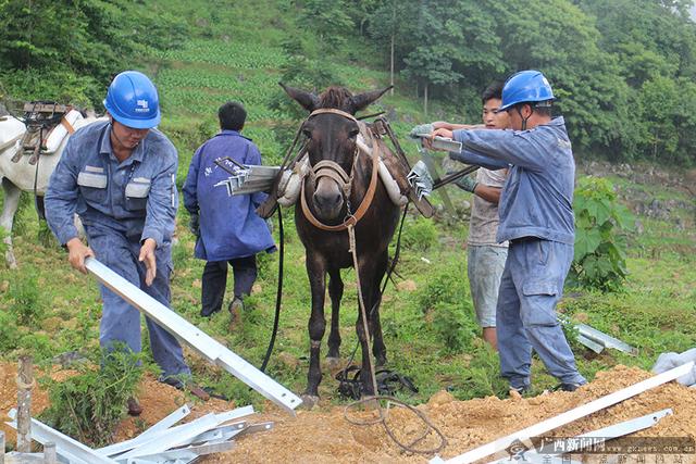 广西隆林：挂牌督战村电网建设首战告捷