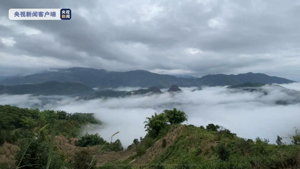 云南哀牢山4名地质调查人员因公殉职原因查明