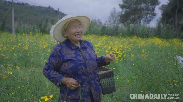 香港青年梁安莉：“贵州屋脊”绽放花季