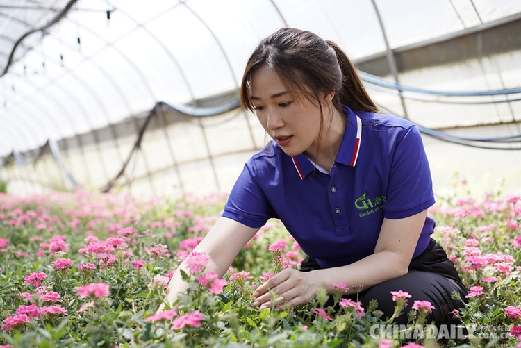 香港青年梁安莉：“贵州屋脊”绽放花季