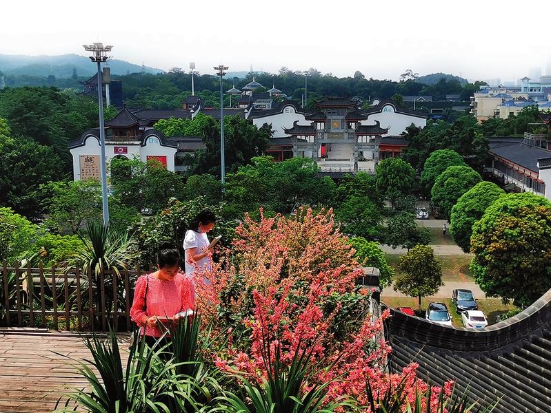 依窗远眺青山秀 缕缕书香润心田 青秀区图书馆“搬家”进景区，邕州书院分馆成热门“打卡地”