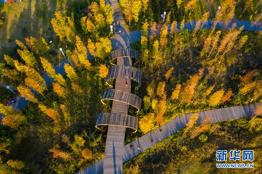 广西梧州：苍海湿地公园冬日景如画