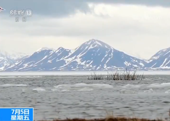 中国黄（渤）海候鸟栖息地（第一期）获准列入世界遗产名录