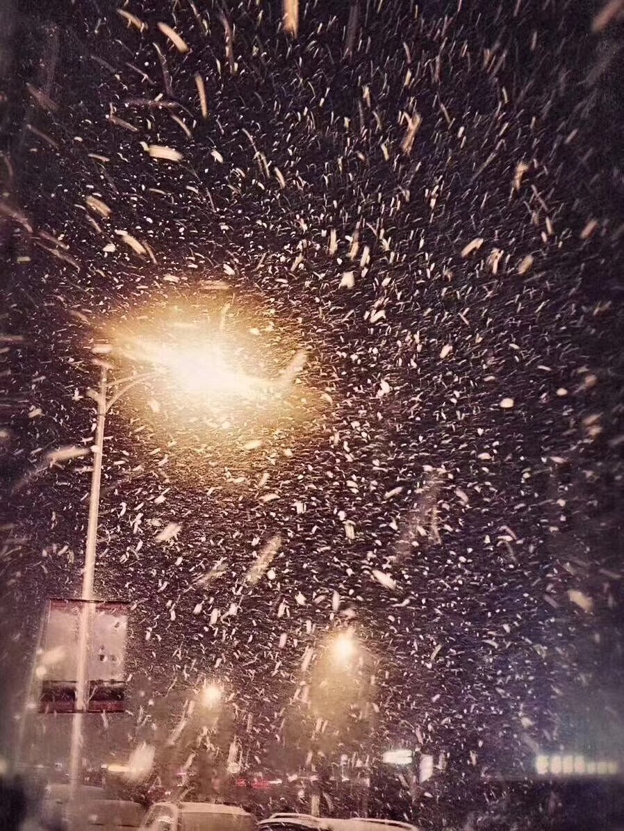 【要闻三】【龙江要闻】寒地龙江开启奇妙冰雪之旅