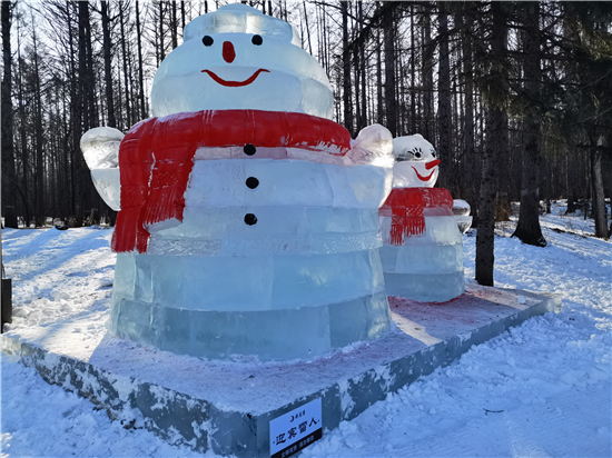 （吉林频道）全域“玩冰乐雪” 2022中国长春净月潭瓦萨国际滑雪节启幕_fororder_吉林4