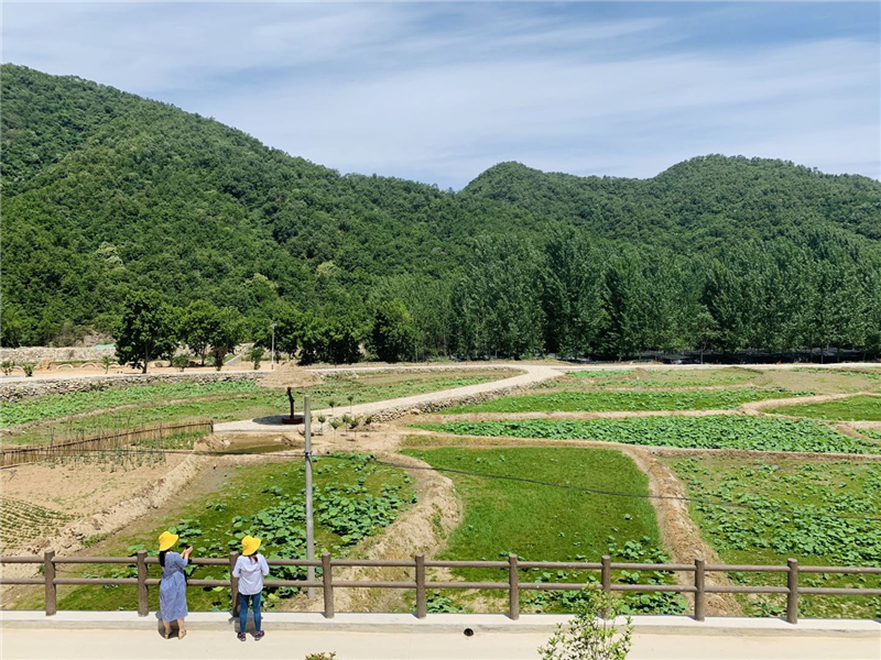 【B】平顶山市鲁山县唱响村美民富“幸福歌”