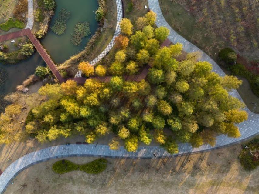 南京江宁牛首山：斑斓时刻 动人风景