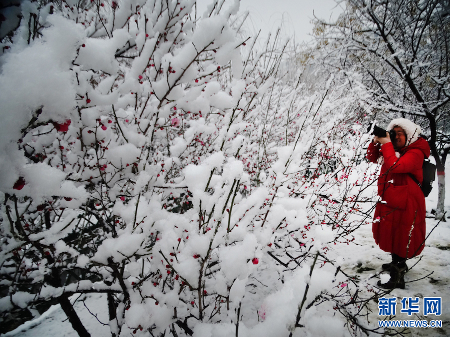 雪后汴京 景色迷人