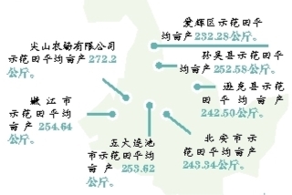 平均亩产超250公斤 黑河“伙伴行动”测产数据 给我们哪些启示？