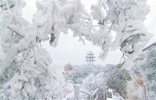 南宁大明山景区将现冰凌雾凇美景