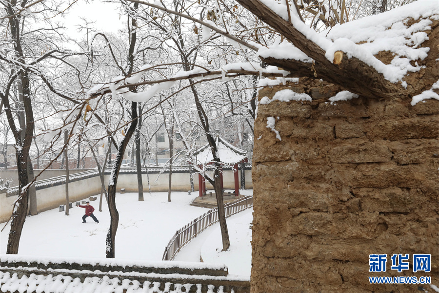 河南温县：雪后陈家沟