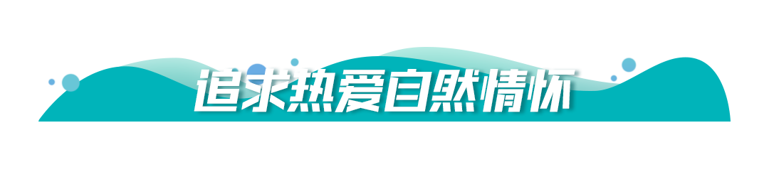 保护生态环境，牢记习近平提出的“五个追求”