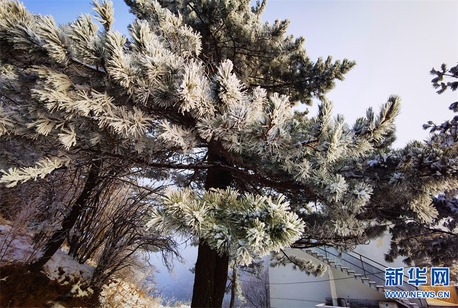 平顶山尧山：雪后峰林白 山深景色美