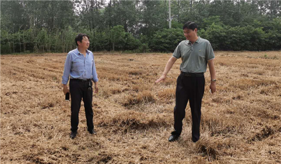 （B 环保列表 三吴大地淮安 移动版）淮安黄花塘镇专题推进秸秆禁烧禁抛与综合利用工作