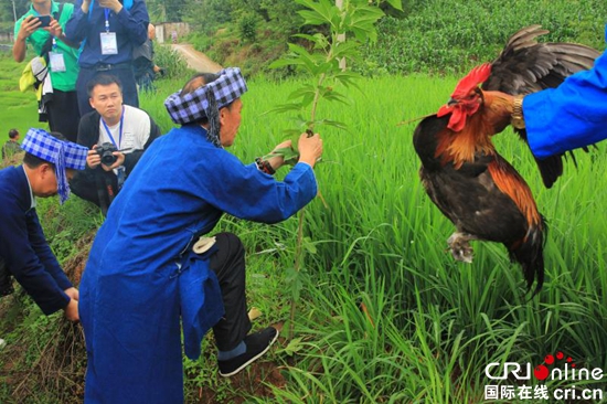 第十四届凉都·月亮河“六月六”布依风情节在贵州六枝特区举行