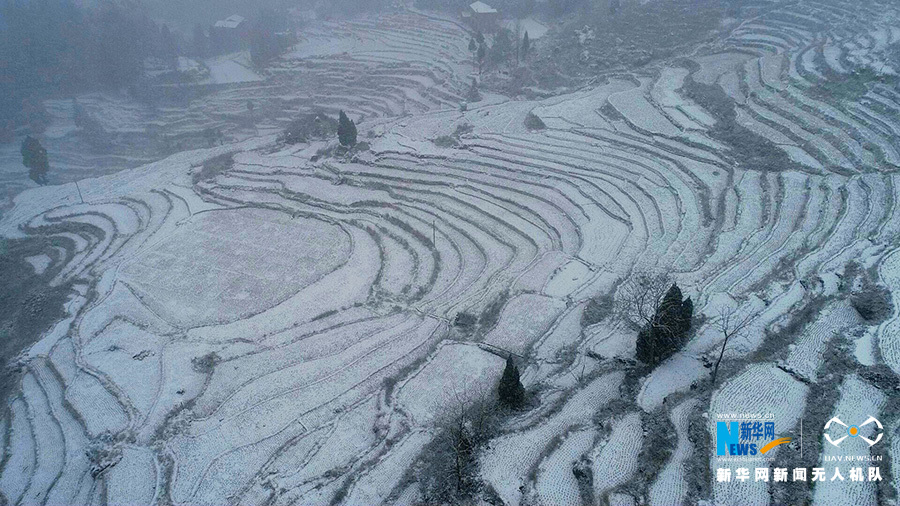 【城市远洋带图】重庆酉阳：雪映古梯田 南国村落美