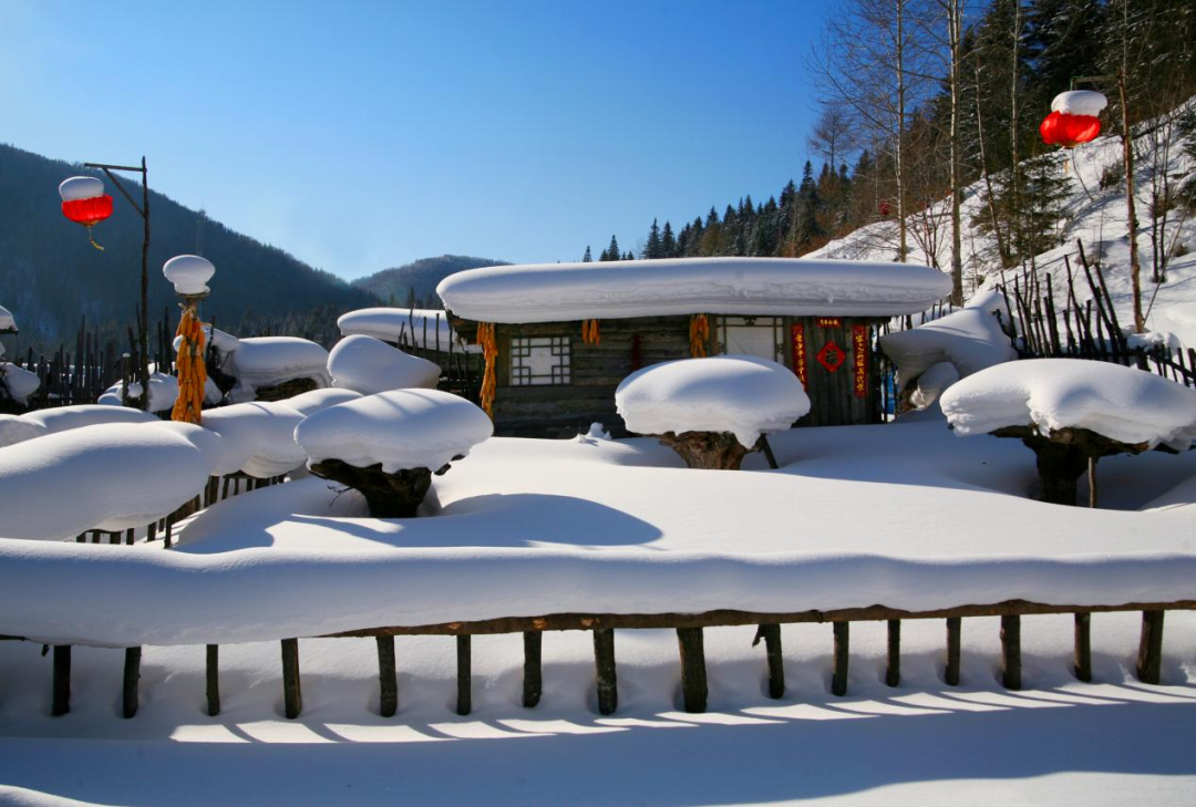 雪乡12月29日开园，冬日实力派浪漫回归！